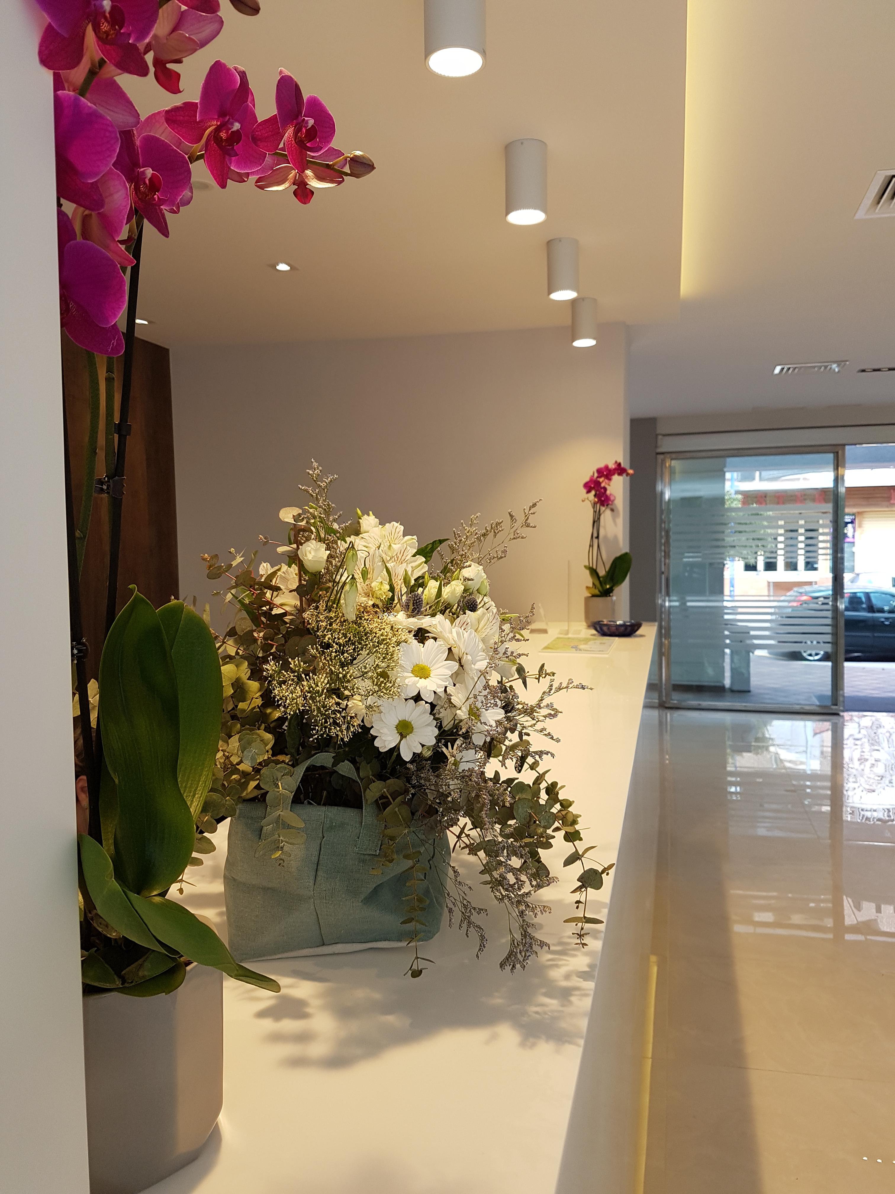 珍珠酒店 貝尼多姆 外观 照片